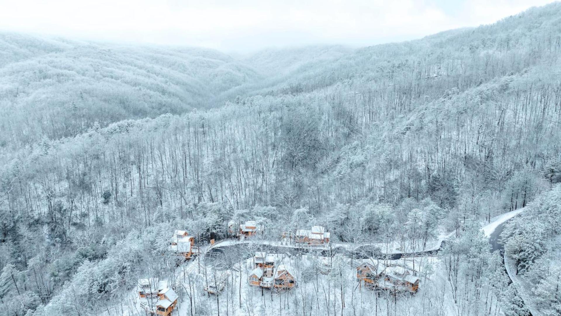 The Blackjack Oak In Treehouse Grove At Norton Creek Gatlinburg Exterior photo
